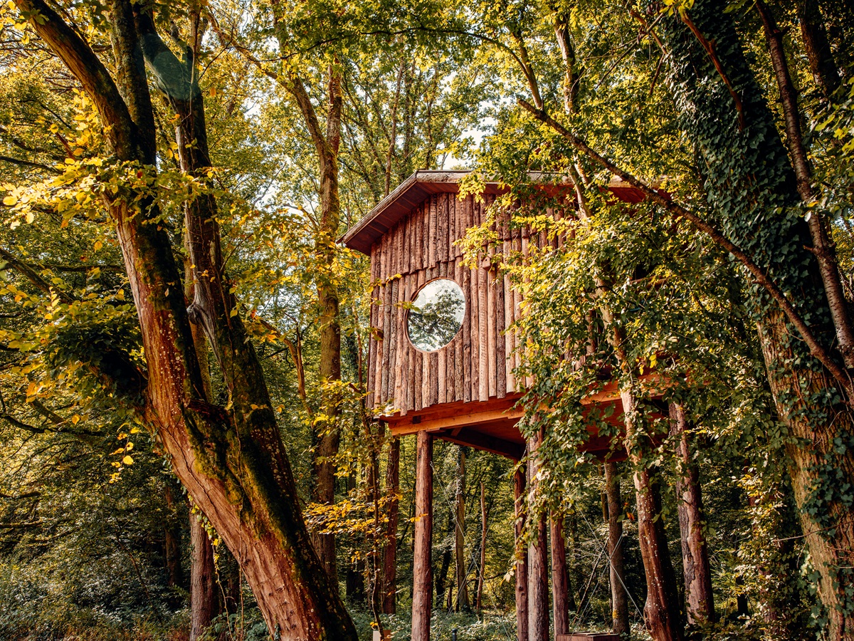 Bienvenue | Cabanes de la Réserve | Coucoo Cabanes | Oise